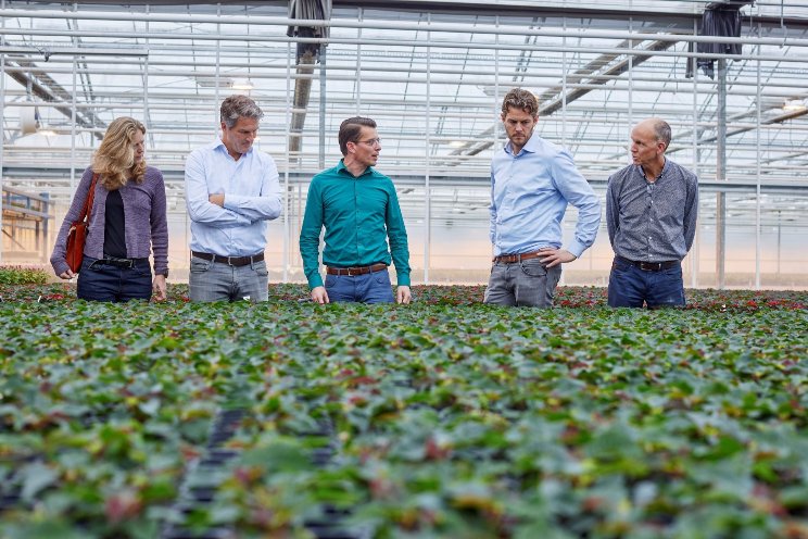 Inschrijving Ledensessies FloraHolland geopend Inschrijving Ledensessies FloraHolland geopend