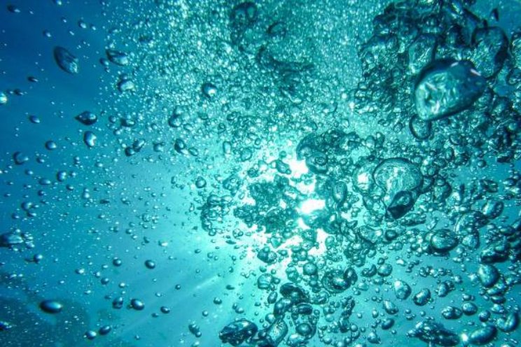 'Nanobubbles geven jouw gewas een zuurstofboost' 'Nanobubbles geven jouw gewas een zuurstofboost'