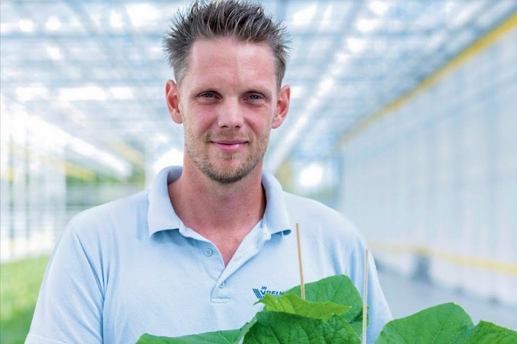 BBL hét antwoord op krappe arbeidsmarkt? BBL hét antwoord op krappe arbeidsmarkt?