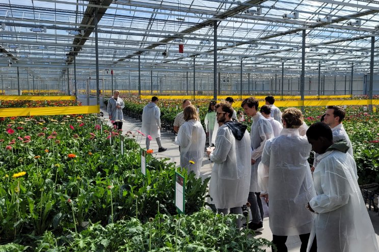 Techniekstudenten verrast over glastuinbouw Techniekstudenten verrast over glastuinbouw