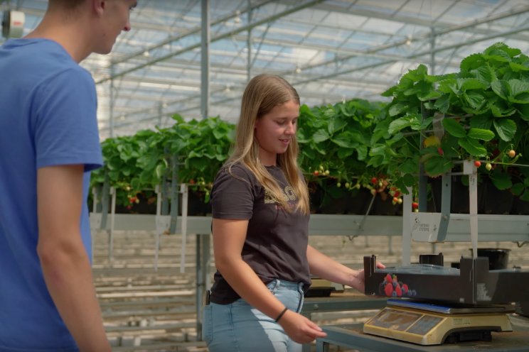 Daan op bezoek bij... Kwekerij Van Tuyl Daan op bezoek bij... Kwekerij Van Tuyl