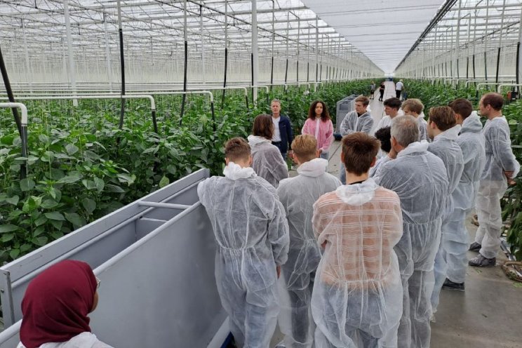 Studenten testen nieuwe sensortechnologie paprika Studenten testen nieuwe sensortechnologie paprika