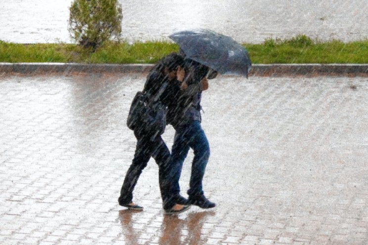 50 tot 100 miljoen euro schade door storm Poly 50 tot 100 miljoen euro schade door storm Poly