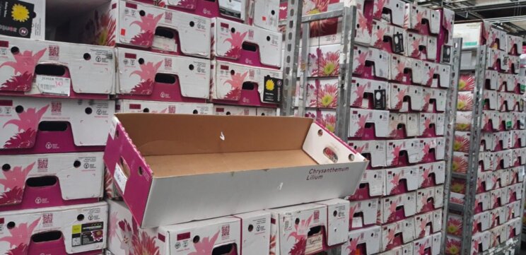 'Gebruik geen haakjes in meermalige bloemendoos' 'Gebruik geen haakjes in meermalige bloemendoos'