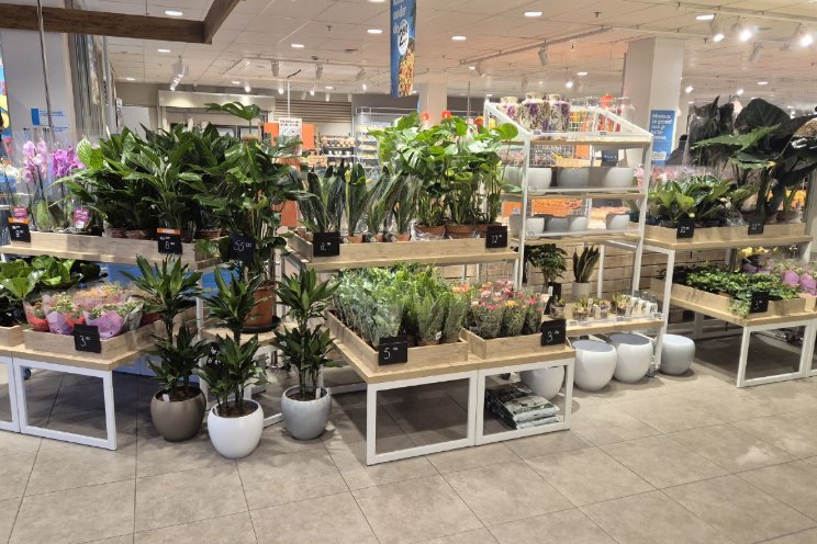 Albert Heijn lanceert nieuw bloemistconcept Albert Heijn lanceert nieuw bloemistconcept