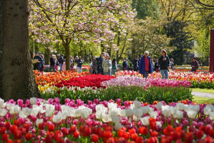 Met Keukenhof Lentepas begint de lente pas!