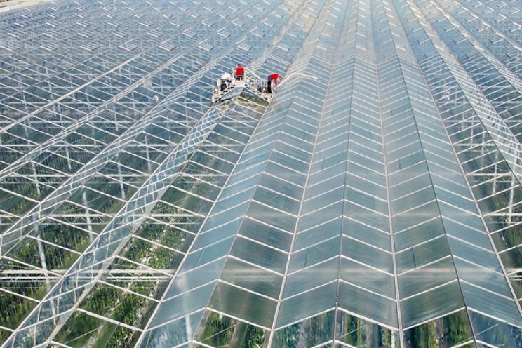 'Betere productie en minder stress planten' 'Betere productie en minder stress planten'