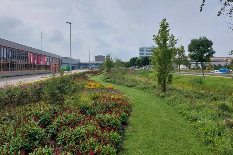 Meer biodiversiteit op Trade Parc Westland