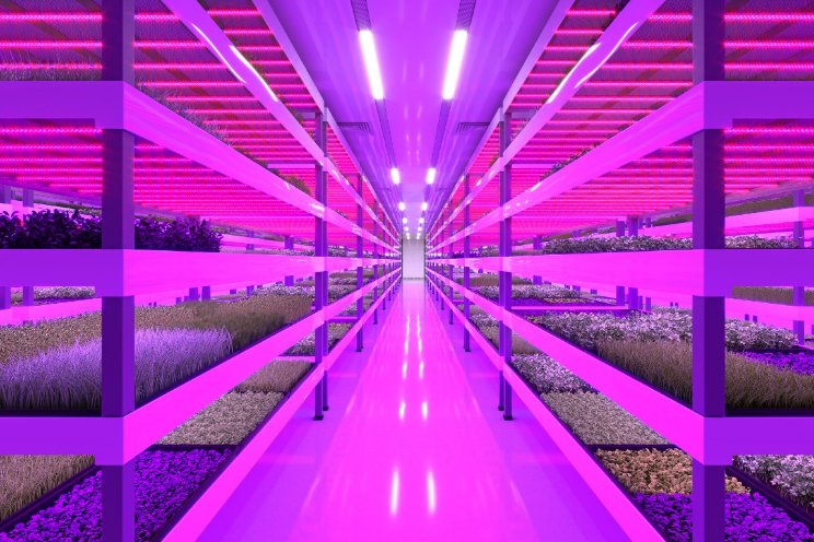 Horticoop en StartLife slaan de handen ineen Horticoop en StartLife slaan de handen ineen