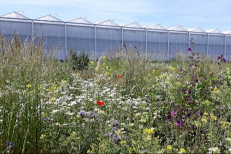 'Kennis blijven delen over biodiversiteit' 'Kennis blijven delen over biodiversiteit'