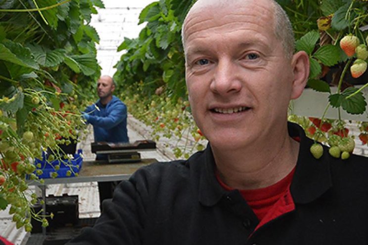 Telers werken samen aan verwaarden reststromen Telers werken samen aan verwaarden reststromen