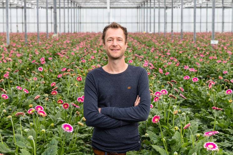 Minder chemie in gerbera met TRICHOcontrol