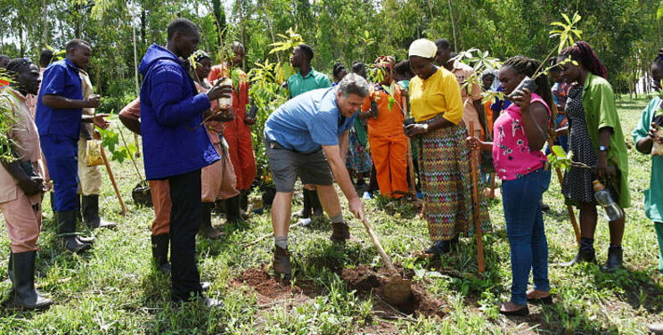 'A tree for every employee' 'A tree for every employee'