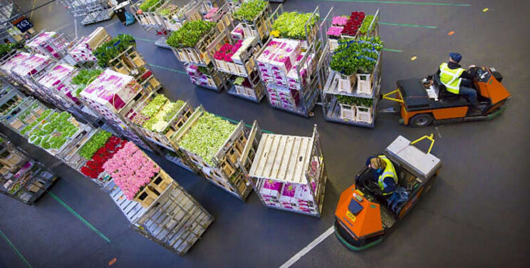 Royal FloraHolland peilt tevredenheid Royal FloraHolland peilt tevredenheid