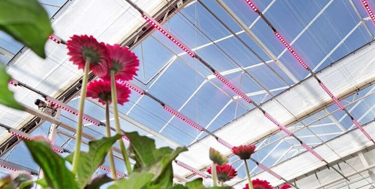 Innovatiecafé: Het Nieuwe Siertelen Innovatiecafé: Het Nieuwe Siertelen