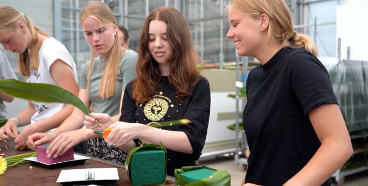 Video: Green Unplugged gestart Video: Green Unplugged gestart