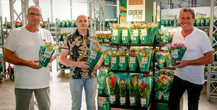 'Groene Dag' eerste sierteeltmerk in retail 'Groene Dag' eerste sierteeltmerk in retail