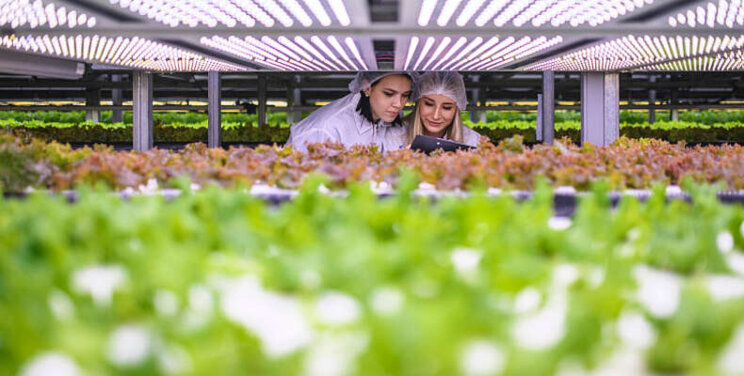 Vertical Farming centraal tijdens nieuwe vakbeurs Vertical Farming centraal tijdens nieuwe vakbeurs