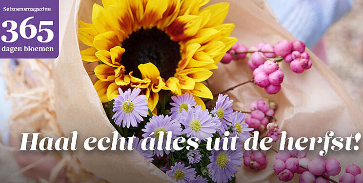 Online magazine 365 dagen bloemen scoort 8,5 Online magazine 365 dagen bloemen scoort 8,5