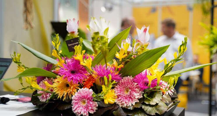 Ontgroening Decorum op spoga+gafa Ontgroening Decorum op spoga+gafa