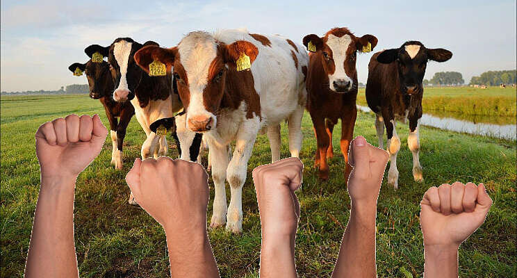 HortiContact steunt landelijke actiedag boeren HortiContact steunt landelijke actiedag boeren