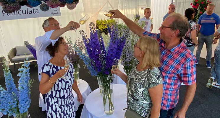 Nieuwe Dewi-delphiniums gedoopt Nieuwe Dewi-delphiniums gedoopt