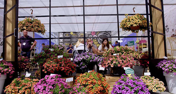 Laatste dag FlowerTrials Laatste dag FlowerTrials