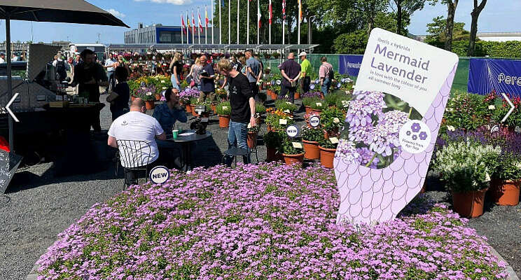 LinkedIn: Great people and plants!
