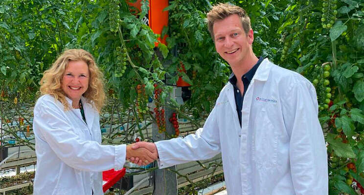 Gearbox verlengt partnerschap Tomatoworld Gearbox verlengt partnerschap Tomatoworld