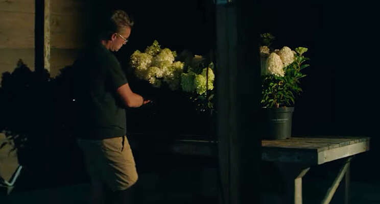 Video: Living Creations Video: Living Creations