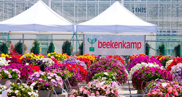 United Colours of Beekenkamp United Colours of Beekenkamp
