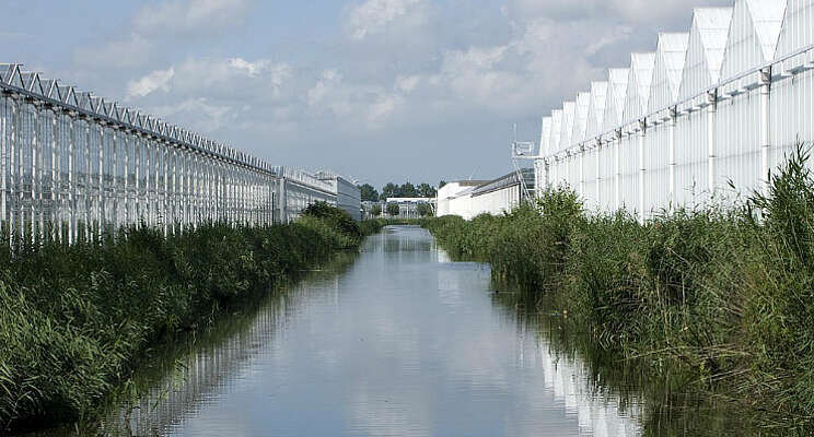 Opschaling project beperken en voorkomen lekverliezen Opschaling project beperken en voorkomen lekverliezen