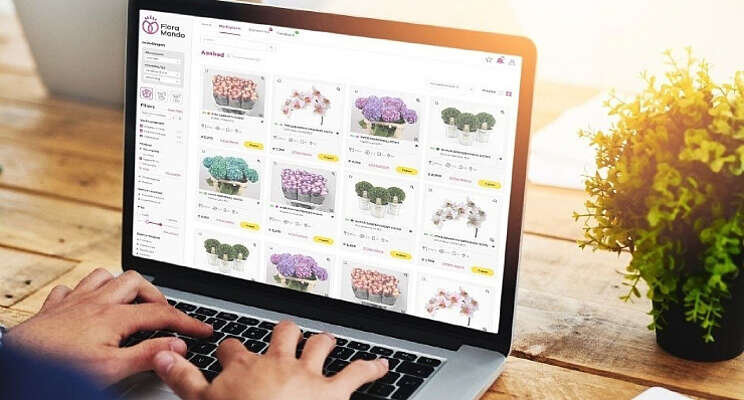 Makkelijker méér producten vinden en schouwen Makkelijker méér producten vinden en schouwen