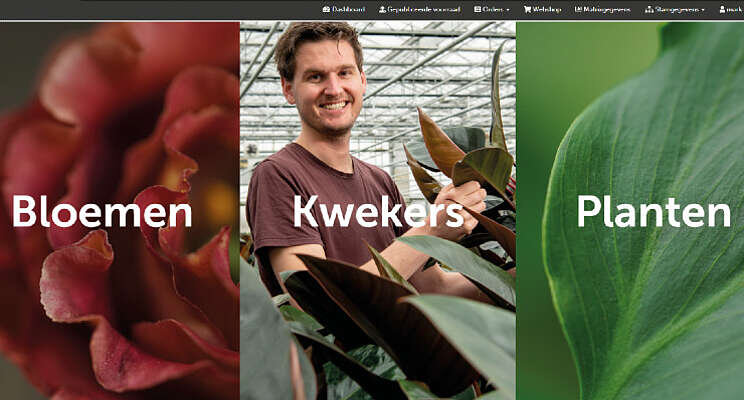 Succesvolle overgang naar Decorum B2B webshop Succesvolle overgang naar Decorum B2B webshop