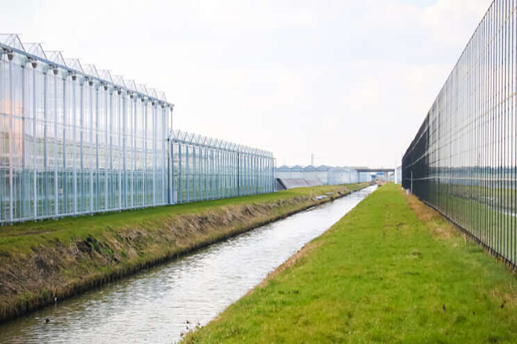 Hoe zorgen we voor voldoende goed gietwater? Hoe zorgen we voor voldoende goed gietwater?