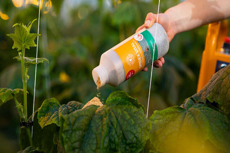 Betere biologische aanpak spint met Spidex Vital Betere biologische aanpak spint met Spidex Vital