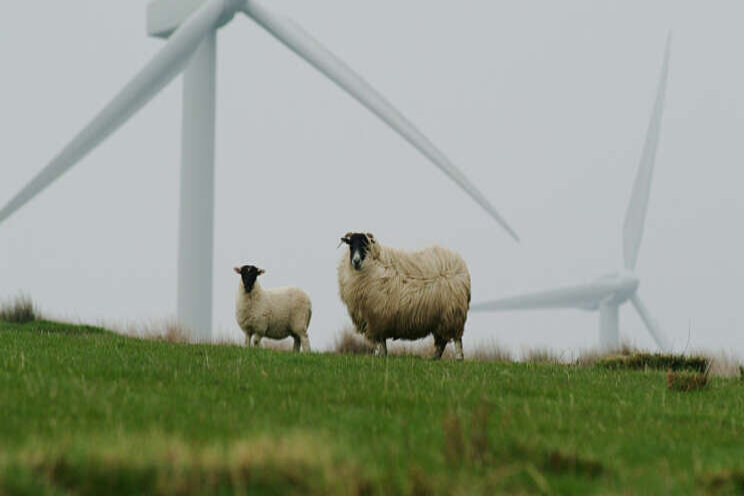 Beperkte zon- en windproductie Beperkte zon- en windproductie