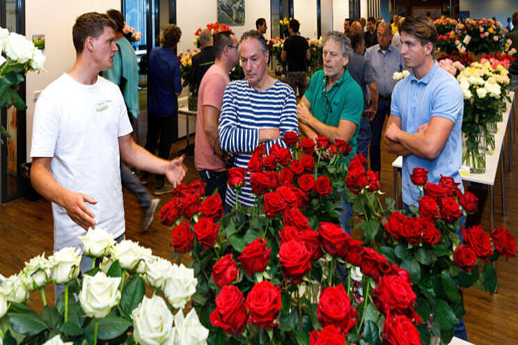 Kopers Plantion spreken Nederlandse rozentelers Kopers Plantion spreken Nederlandse rozentelers