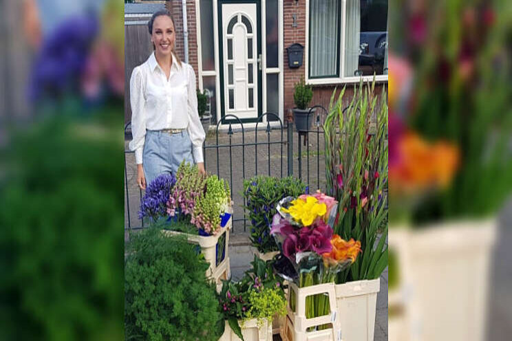 100 verschillende bloemen in 'De Grote Tuinverbouwing' 100 verschillende bloemen in 'De Grote Tuinverbouwing'