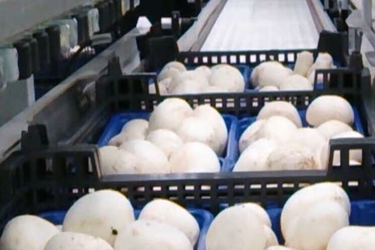 Minder productiefouten dankzij goede inspecties Minder productiefouten dankzij goede inspecties