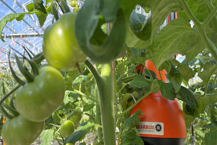 Twee innovatieprojecten krijgen AgriTech-voucher Twee innovatieprojecten krijgen AgriTech-voucher