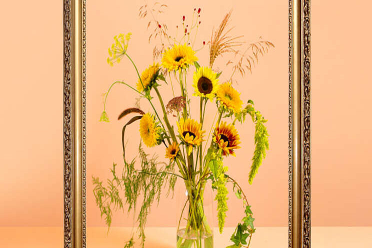 Ode aan de zonnebloem Ode aan de zonnebloem