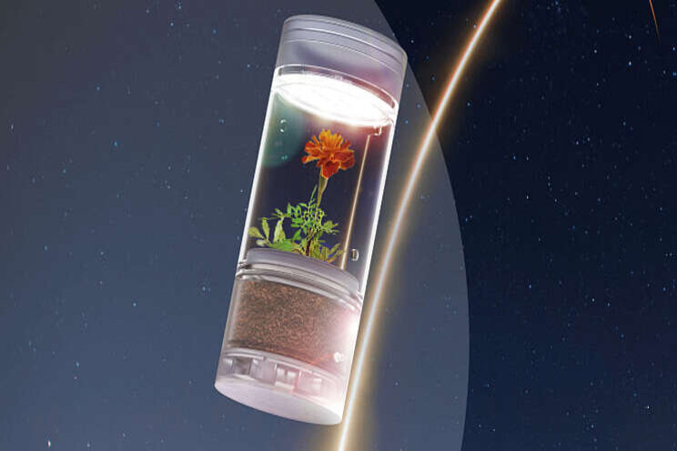PanAmerican Seed steunt ruimteproject PanAmerican Seed steunt ruimteproject