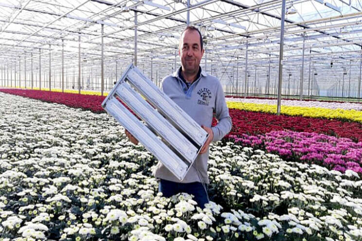 LED's voor nieuwbouw Linflowers en U-Grand LED's voor nieuwbouw Linflowers en U-Grand