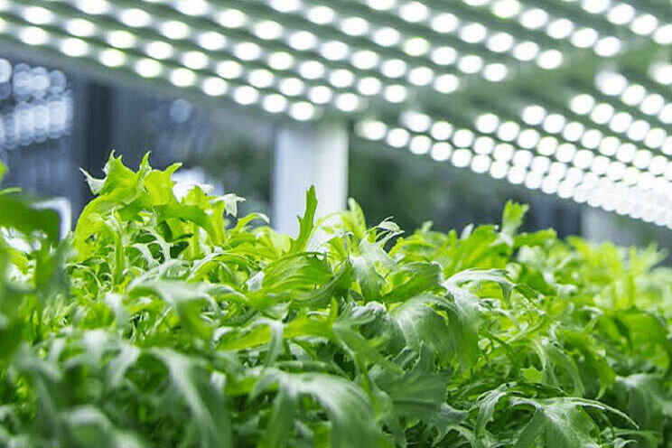 AgroEnergy keert geld uit door onbalansresultaat AgroEnergy keert geld uit door onbalansresultaat