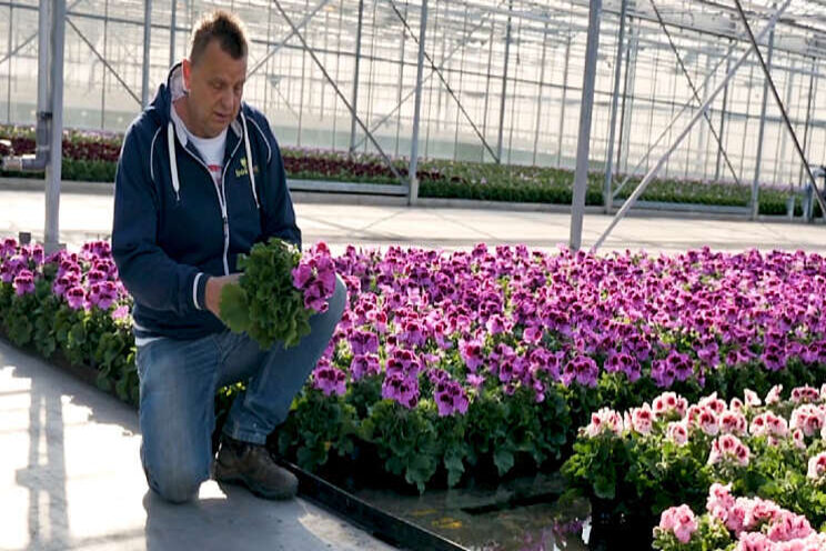 Bosplant geeft jongeren kans Bosplant geeft jongeren kans
