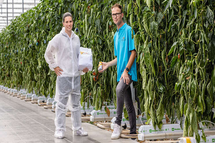'Snelle opbouw van Orius met Power Food Plus' 'Snelle opbouw van Orius met Power Food Plus'