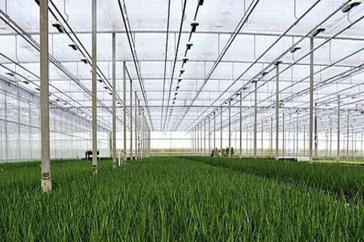 Gratis webinar Autonomous Greenhouse Gratis webinar Autonomous Greenhouse