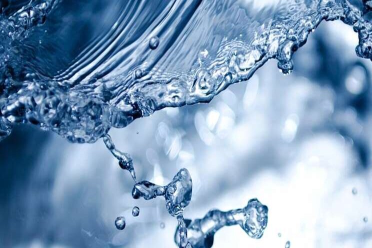 Landbouw gebruikte relatief veel water in 2019 Landbouw gebruikte relatief veel water in 2019