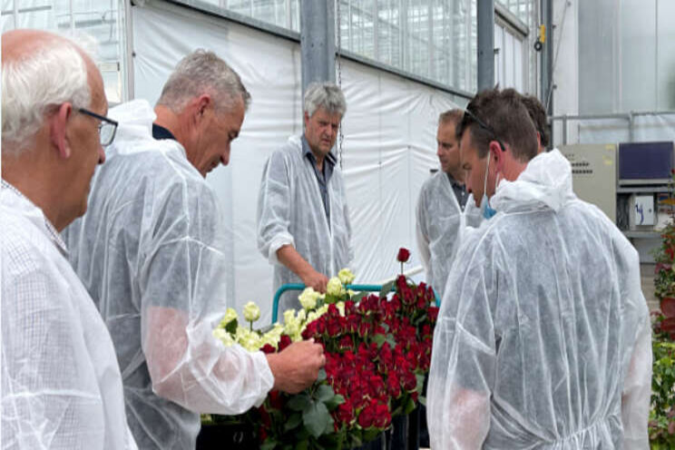 Terugblik op acht jaar onderzoek 'perfecte roos' Terugblik op acht jaar onderzoek 'perfecte roos'